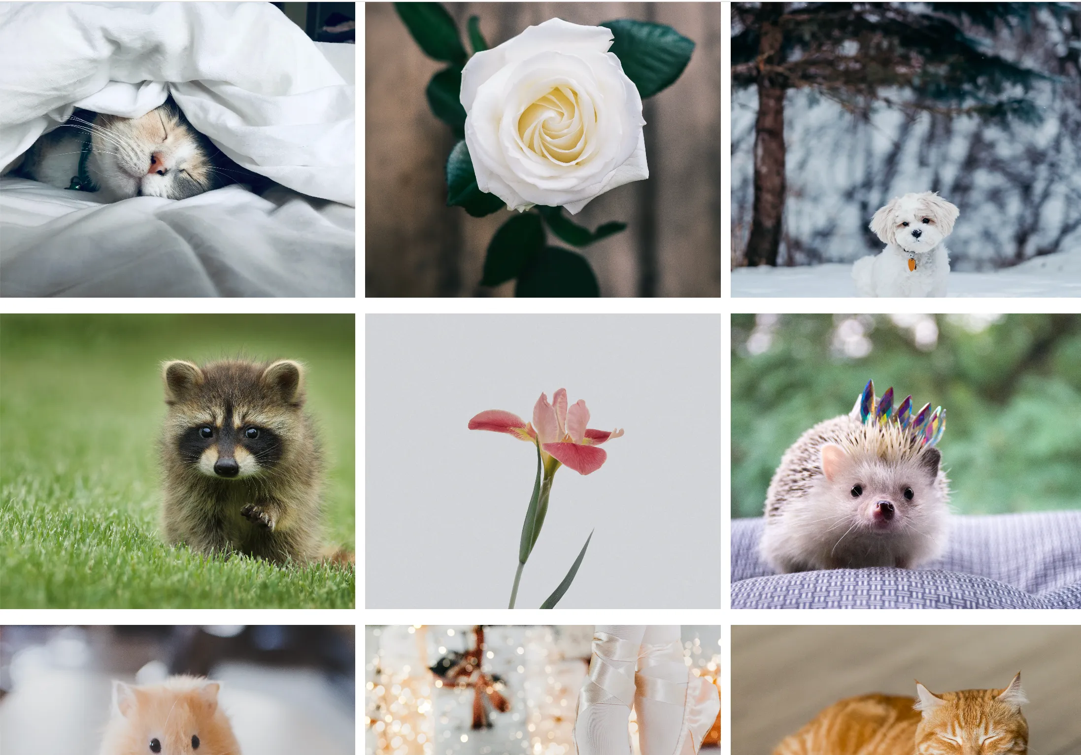 制作内容のイメージ画像